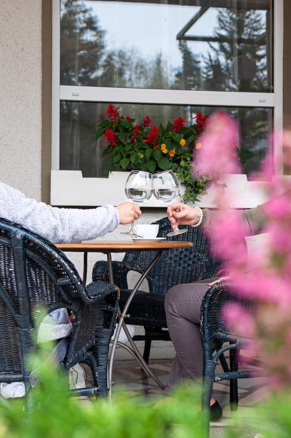 Hotel Monaco Náměšť nad Oslavou Eksteriør billede